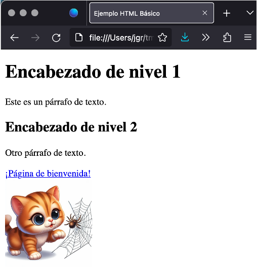 Ejemplo_basico_HTML.png