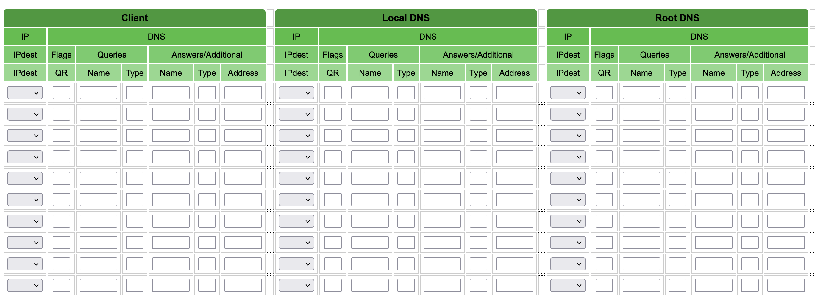 Vista previa ejercicios DNS